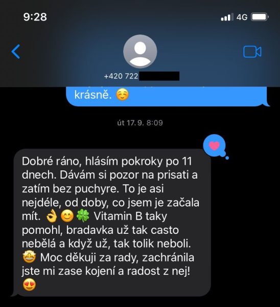 upravená reference 3